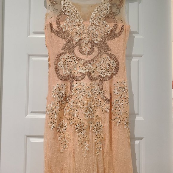 Stunning Peach Lace Gown with Train - Picture 9 of 12
